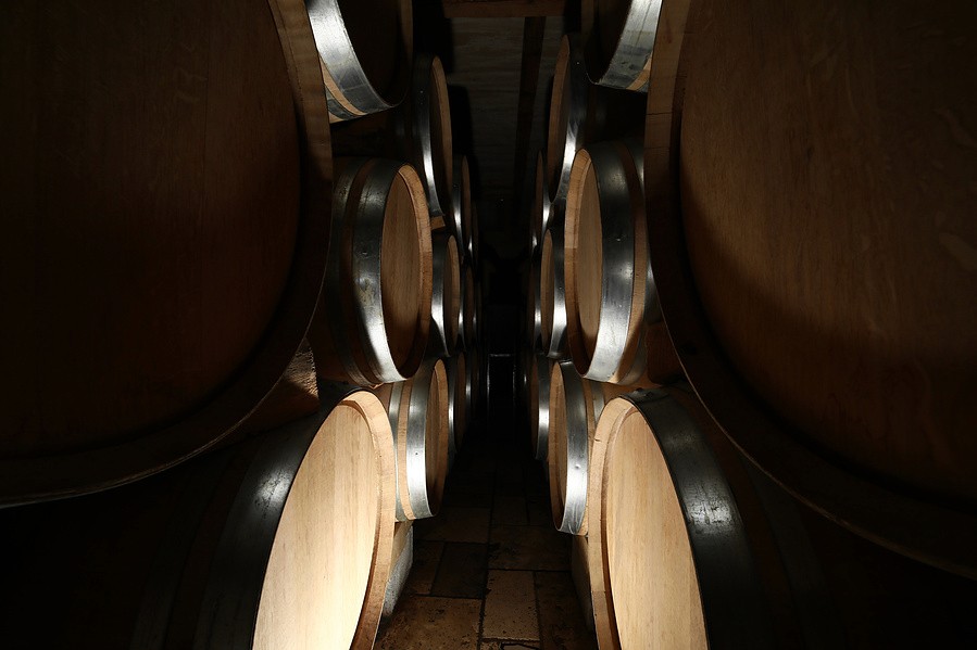 Viticulture