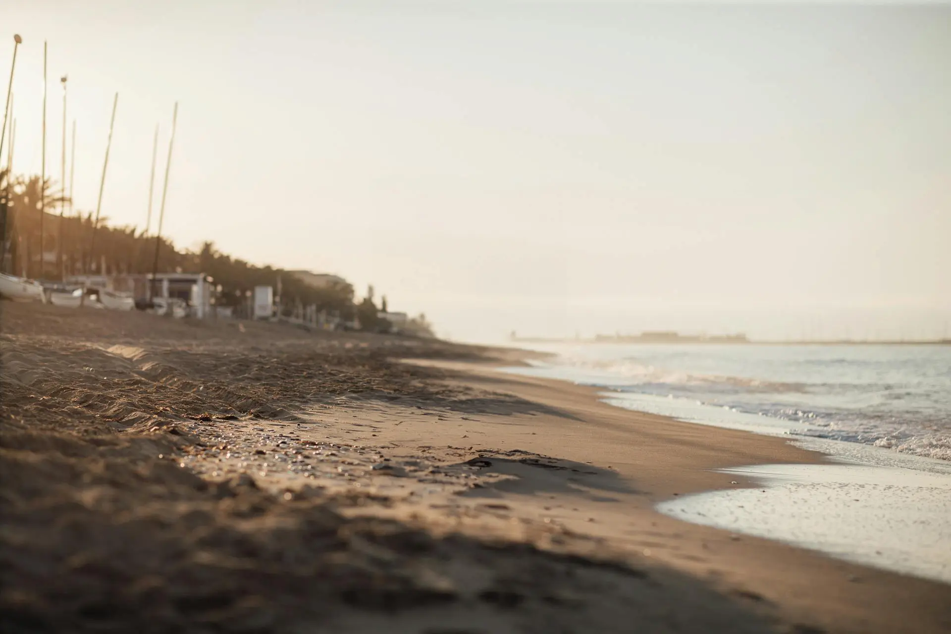 Tropical Beach