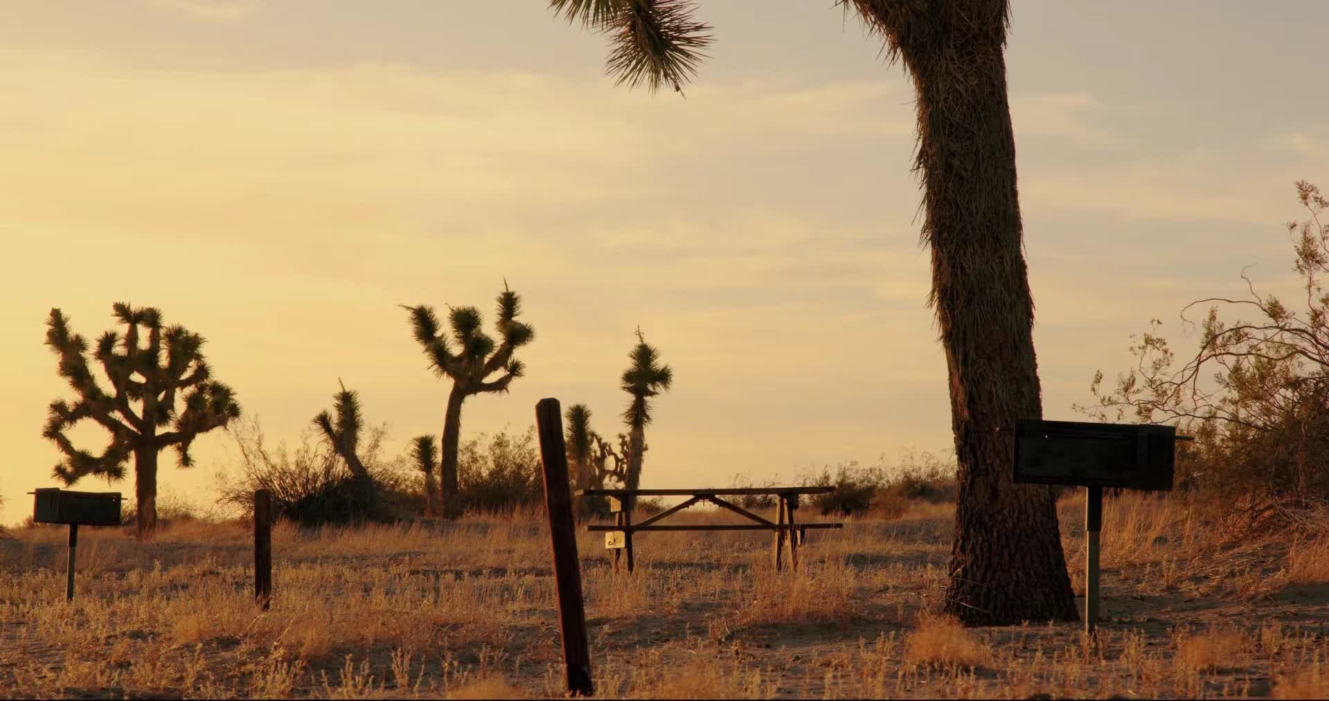 Black plastic pouch on velvet