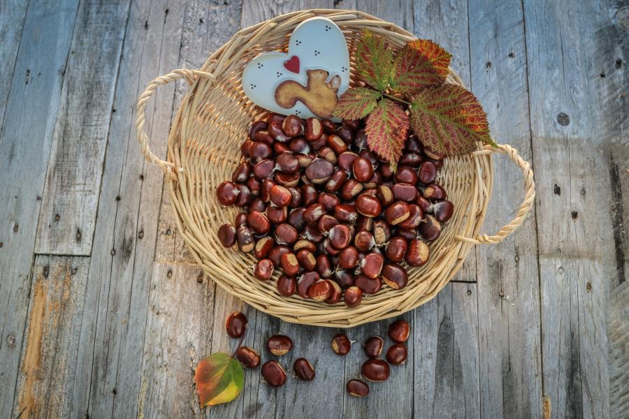 Castagne o marroni