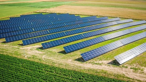 Solar Park Image. Avalani Solar.