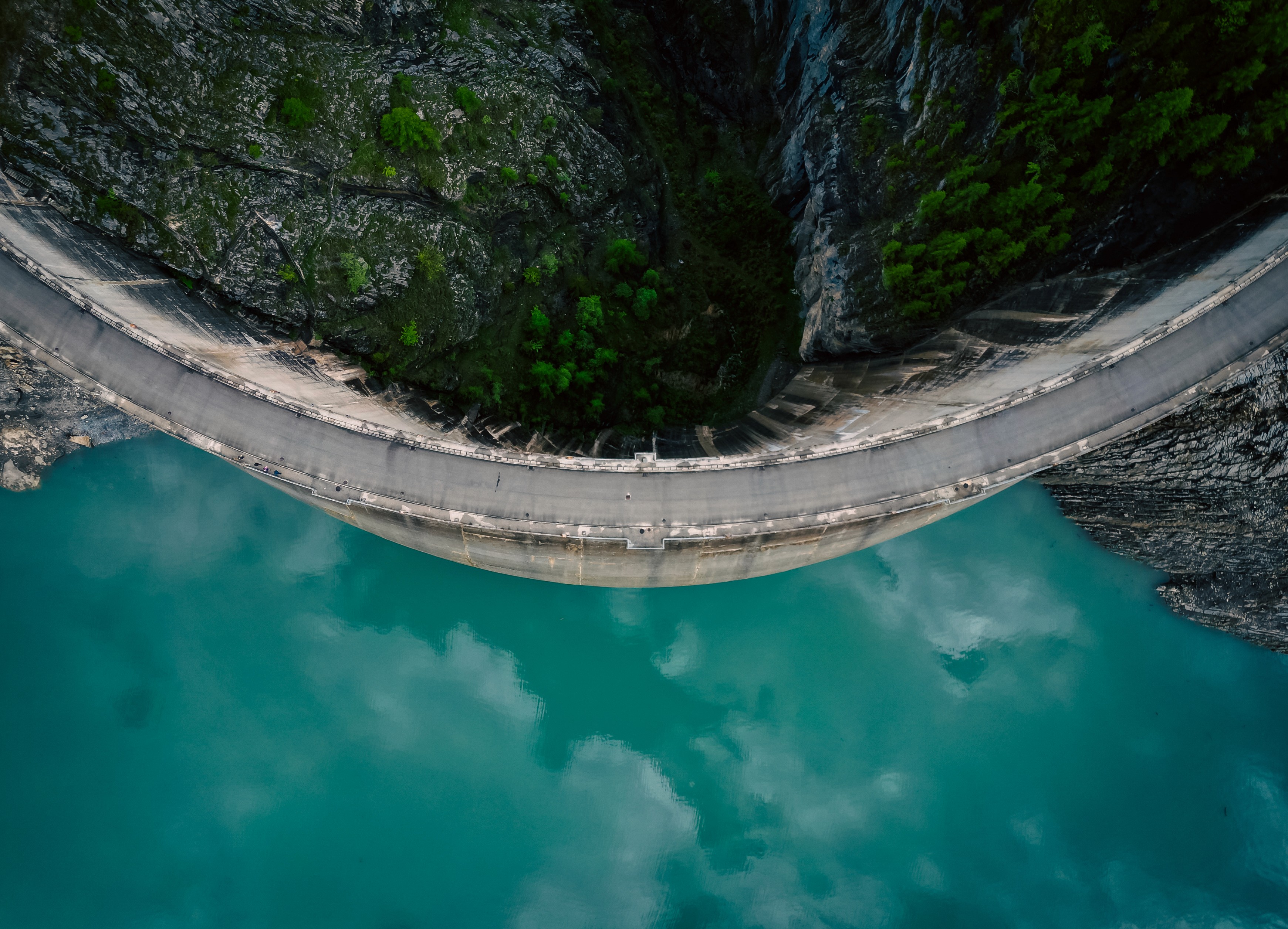 Women On Neon Background