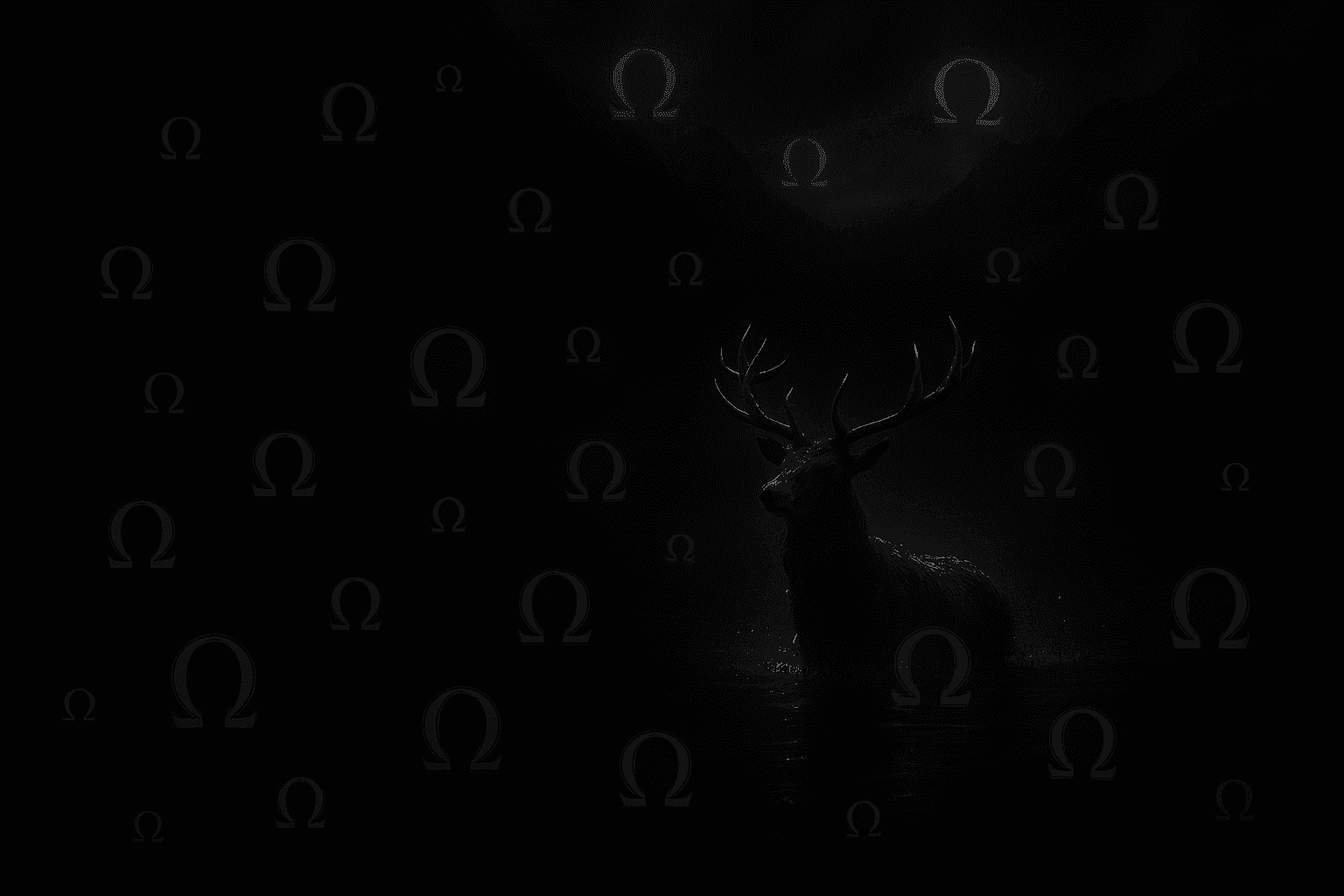 Man Wearing Sunglasses