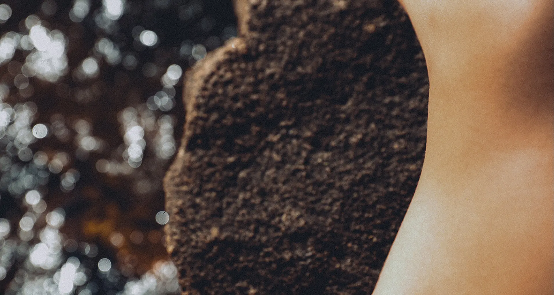 Elevate Life, step into a world