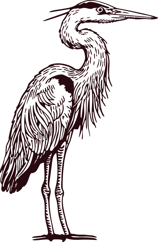 Ramsay Logo