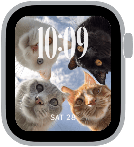cat crew Apple Watch face preview 2 featuring stylized colors and artwork.