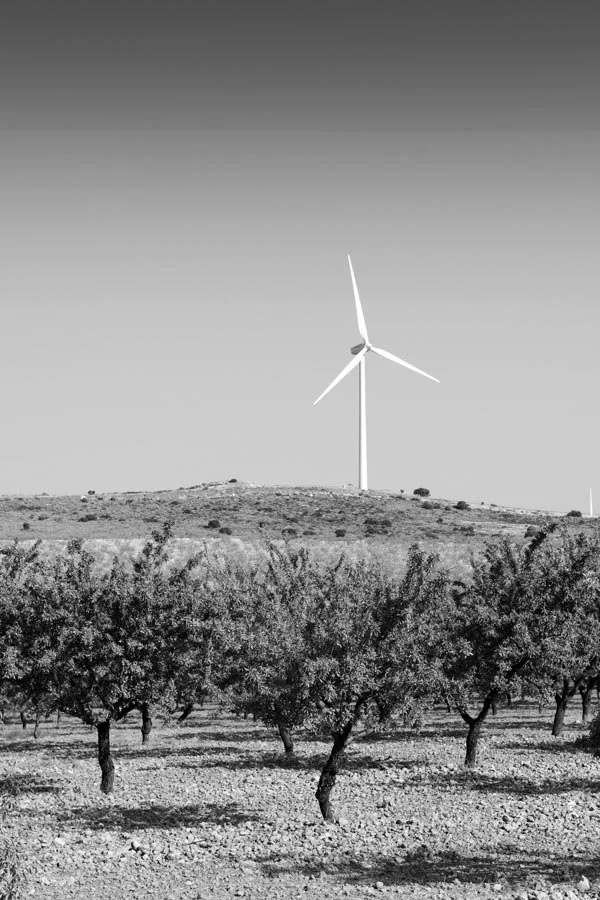 Open nature field with windmill