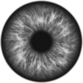 eye detailed view