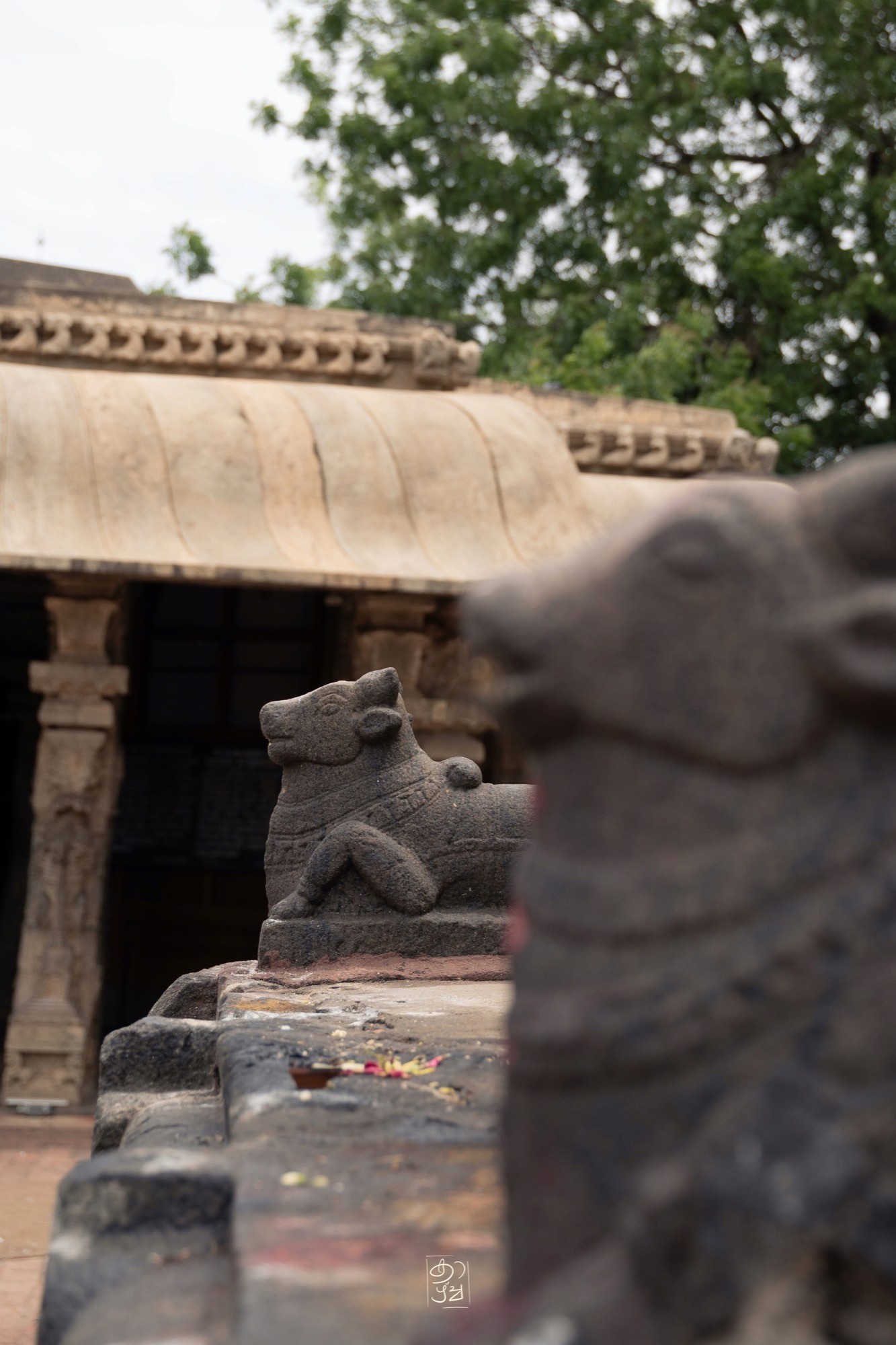 The Nandi bull seated in its pillared pavilion