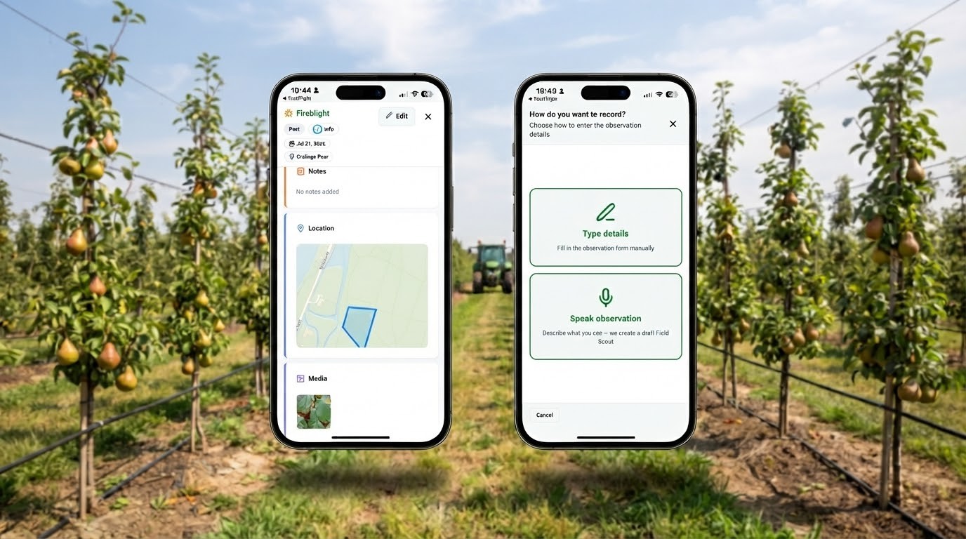 SoilBeat recommendation to activity loop