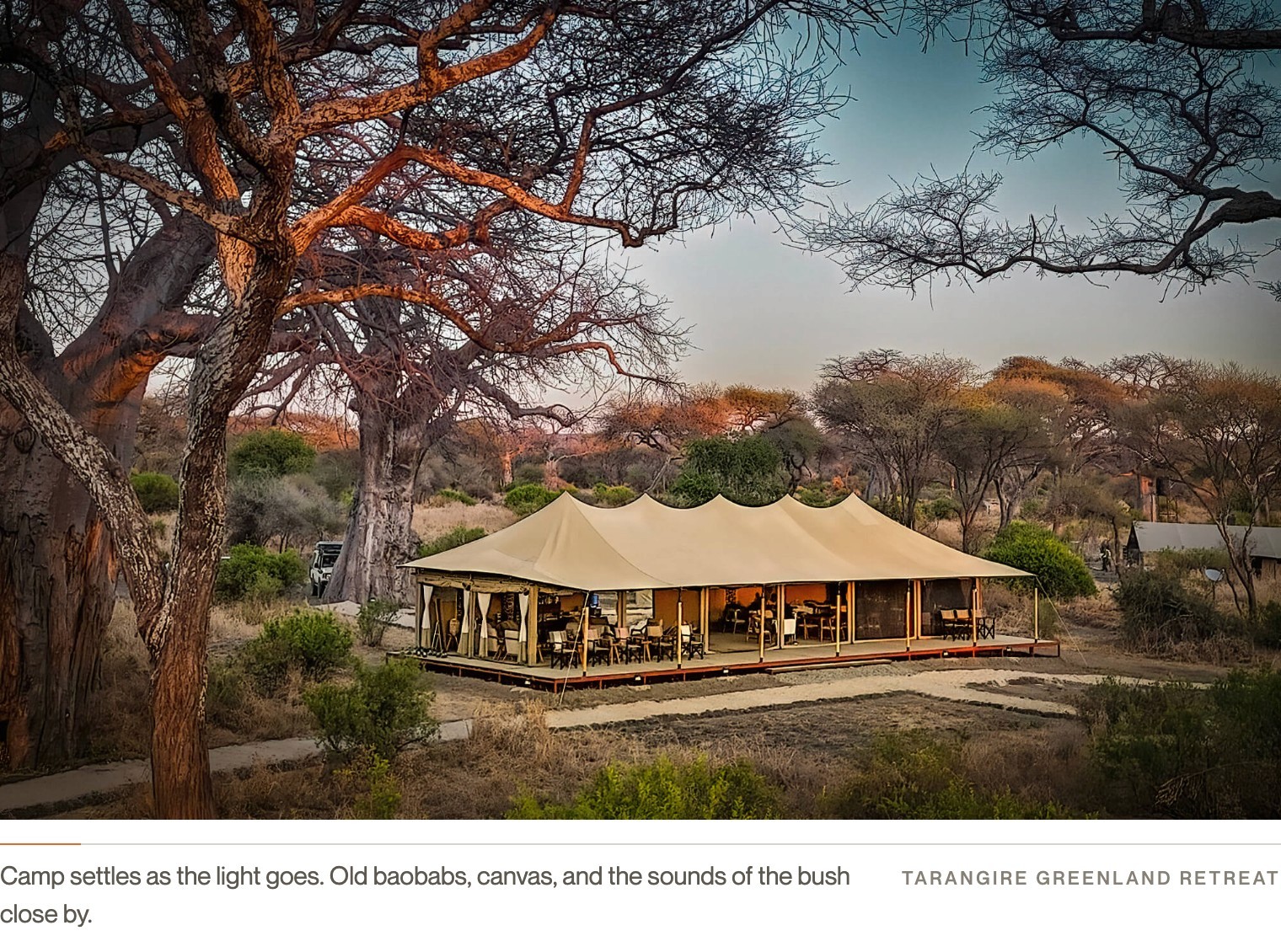 A tented camp beneath baobabs at dusk, Tarangire Greenland Retreat