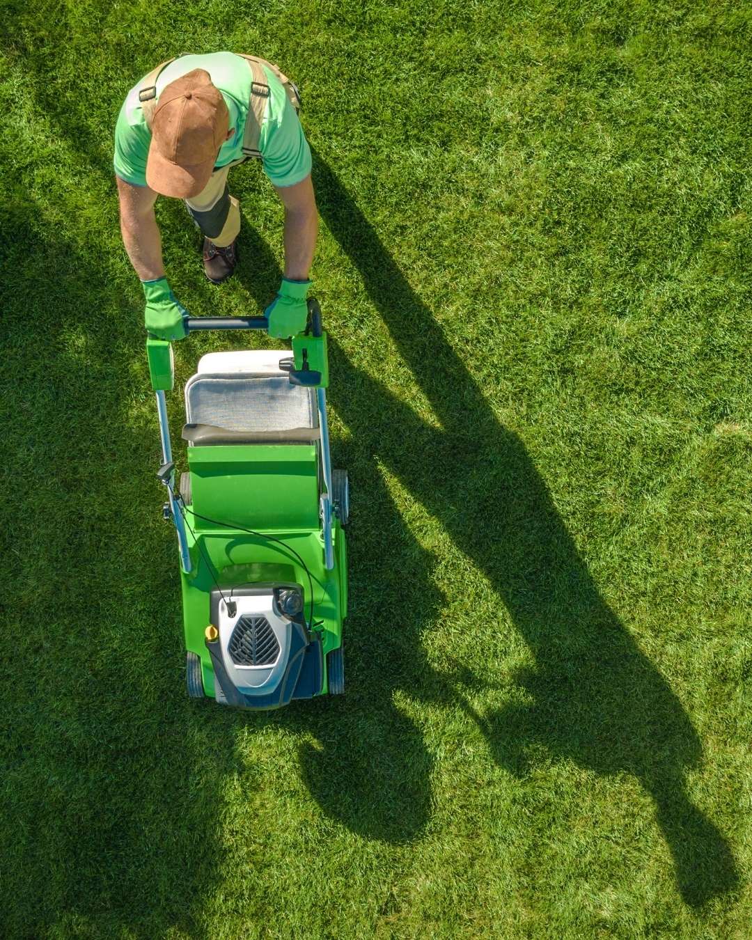 How Can We Help With Residential Lawn Dethatching