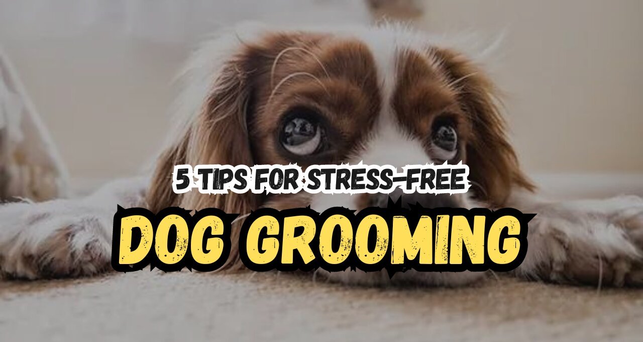 5 Tips for Stress-Free Dog Grooming