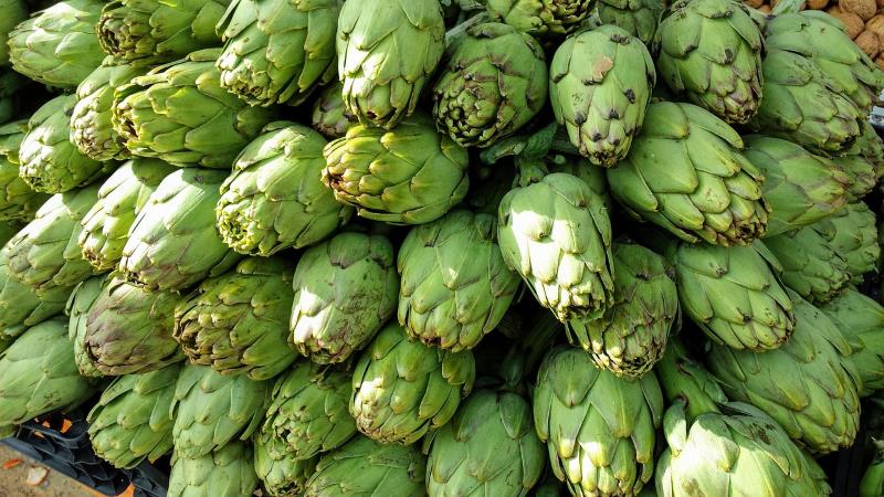 Varietà chiara di carciofi