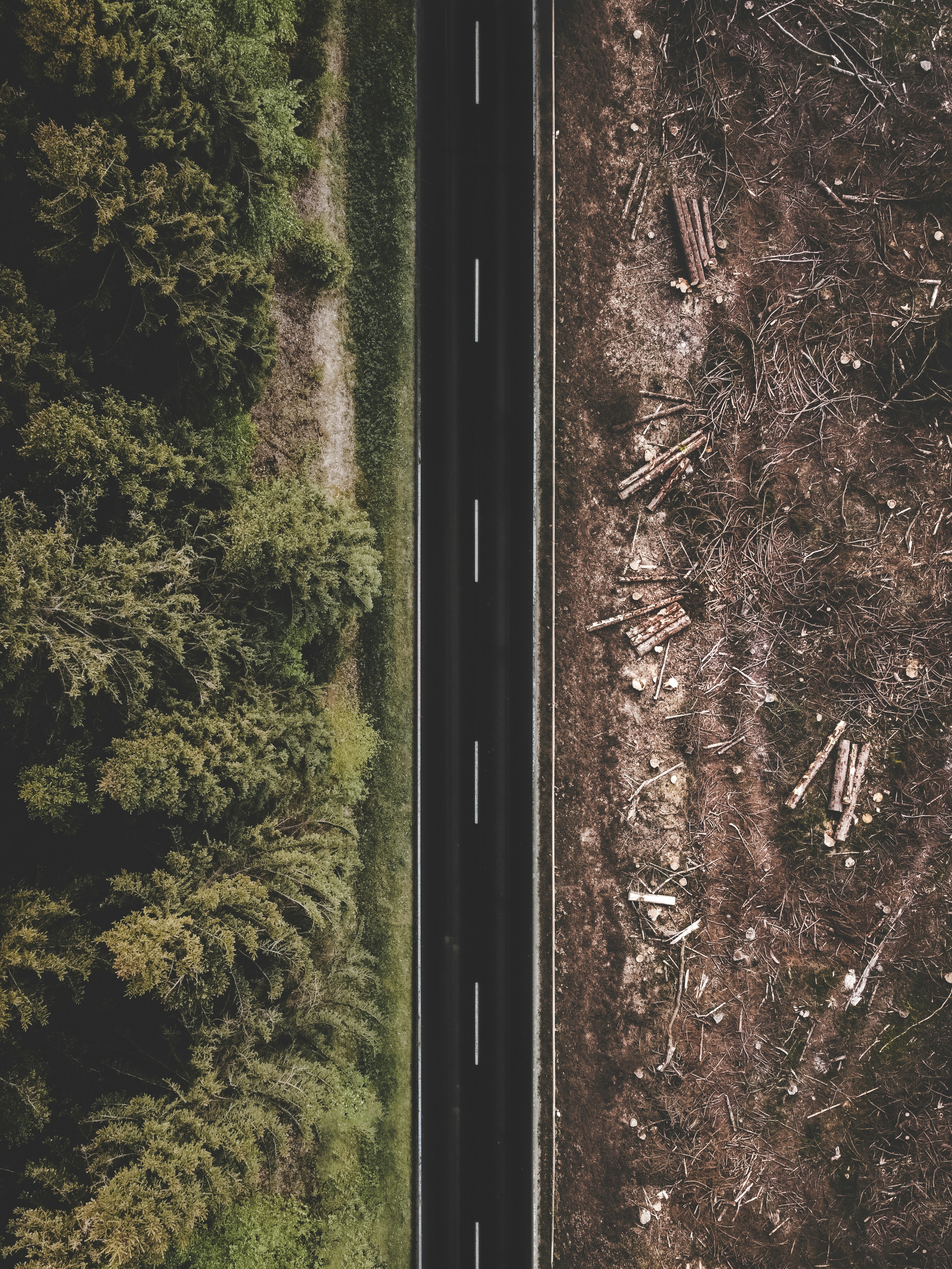 https://unsplash.com/@justusmenke