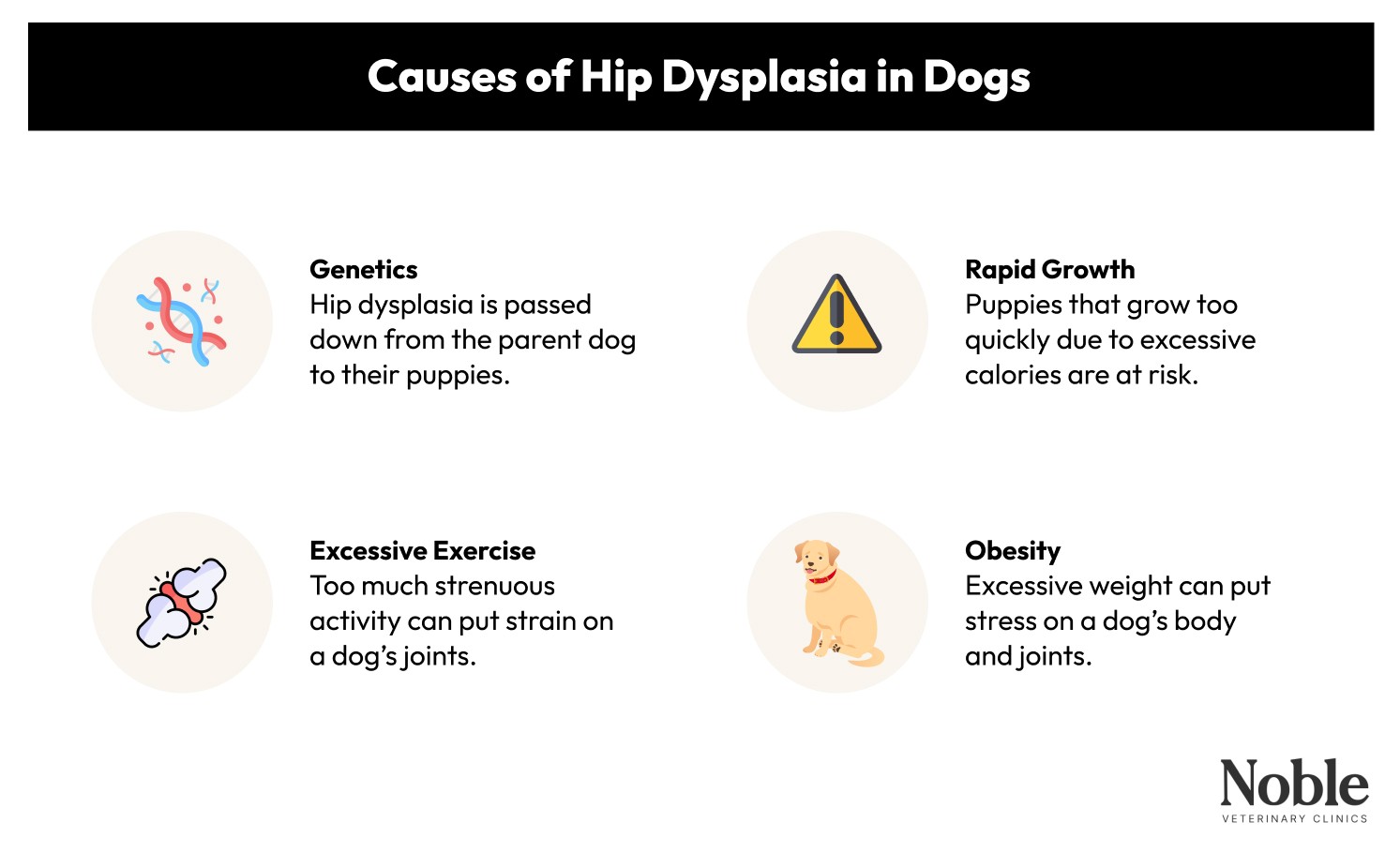 Causes of Hip Dysplasia in Dogs