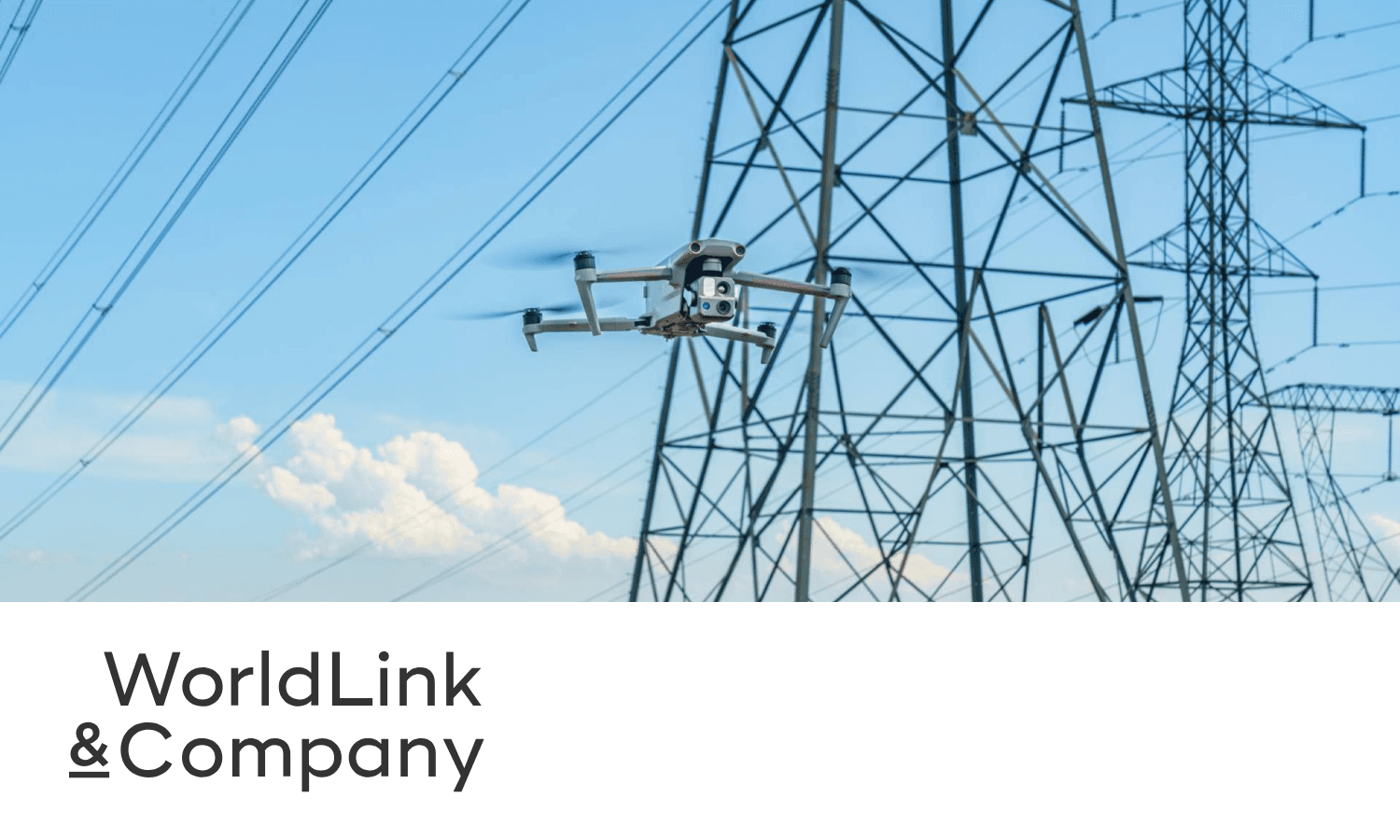 株式会社WorldLink & Company 様｜myBridge共有名刺帳導入事例