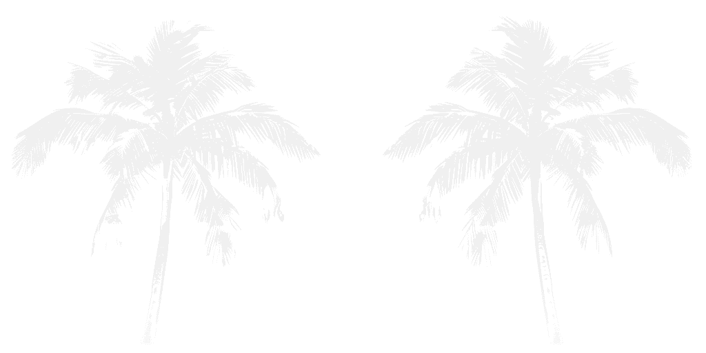 Two palm trees next to eachother.