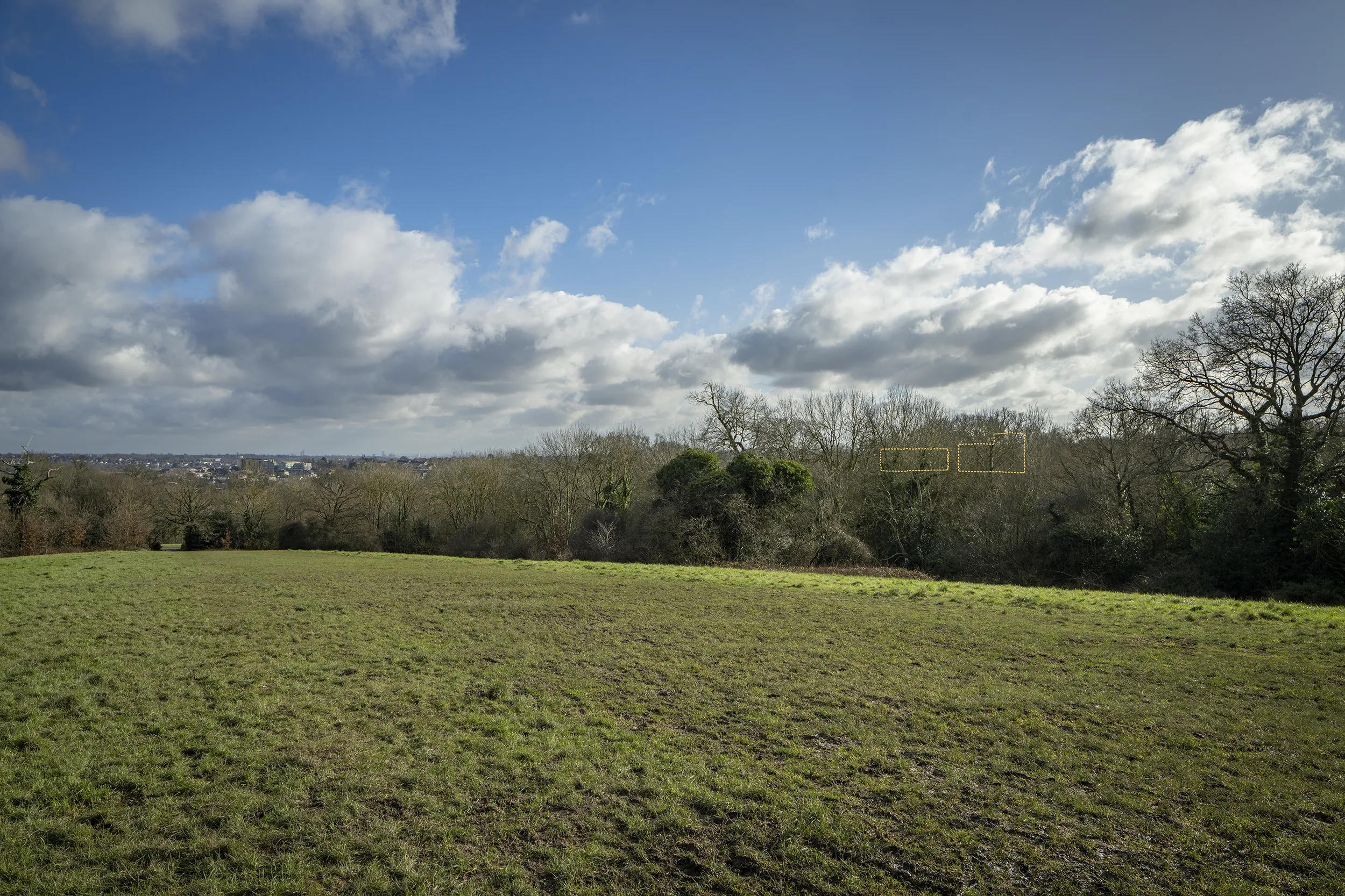 Type 4 AVR Level 1 wireline verified view south east from Locally Identified View 4 in King George's Fields, an elevated outlook across open space and woodland towards central London.