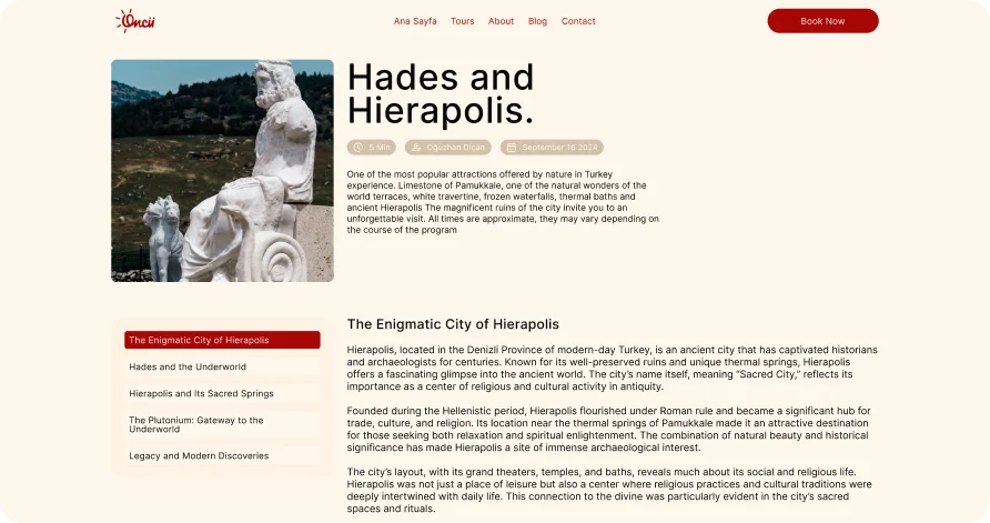 website mockup blog details