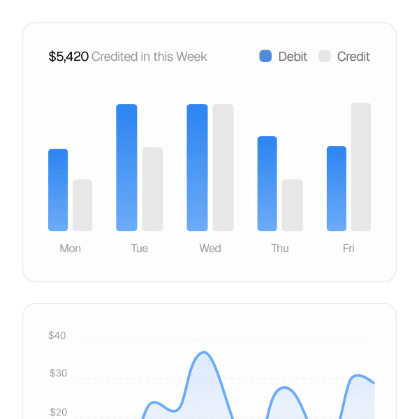 Software user interface