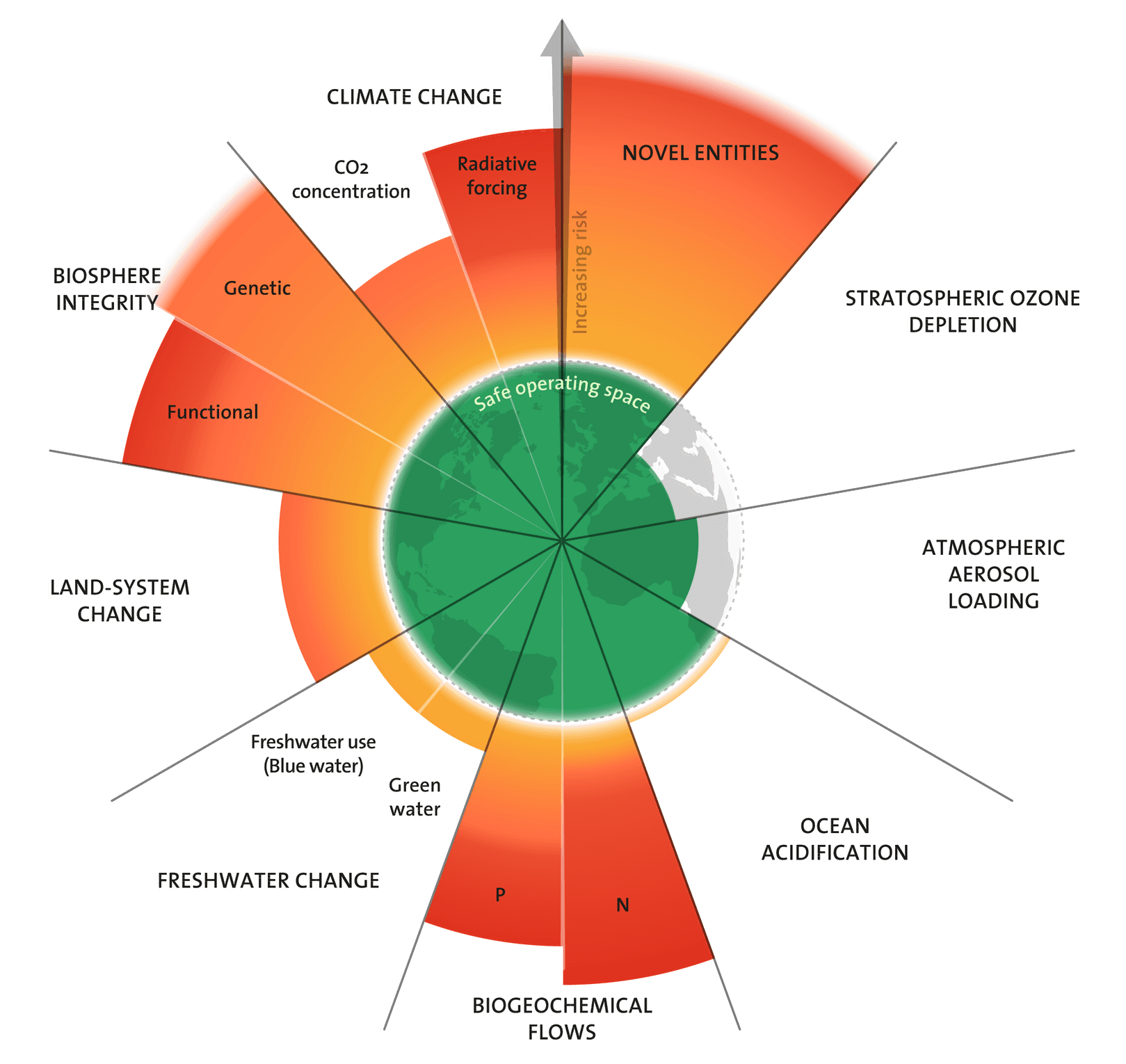 A young person with curly hair smiles at the camera while sitting in front of a laptop against a dark background.