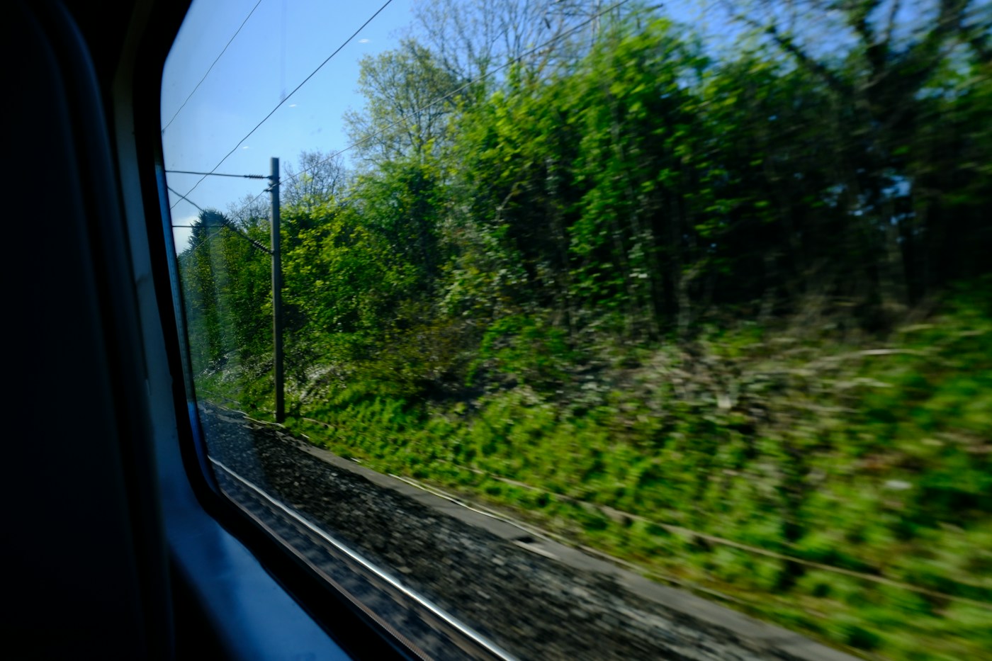 Green trees and bushes seen from a moving train