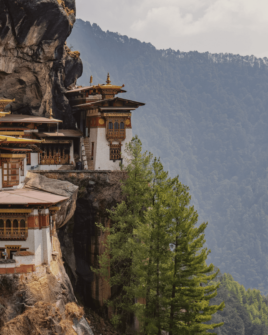 Paro & Punakha, Bhutan