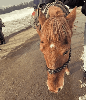low angle view of a building
