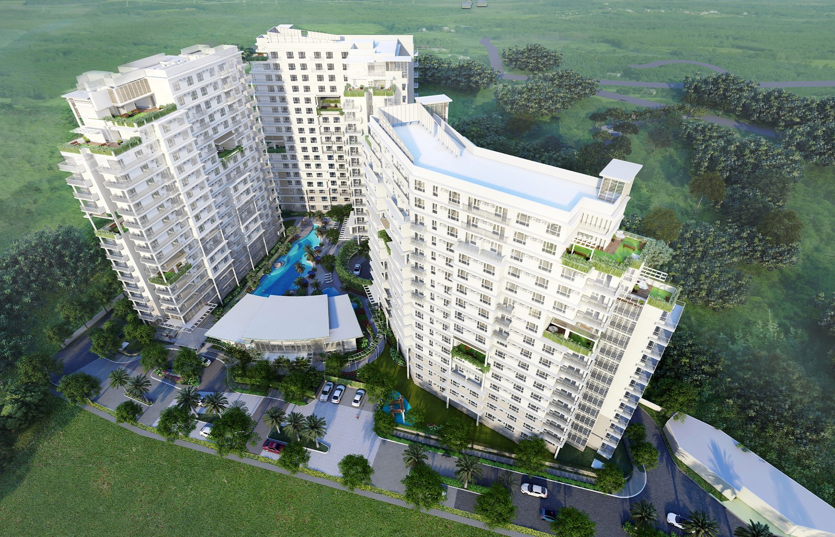 Close-up of a tree stump showing growth rings and a textured brown wood surface.