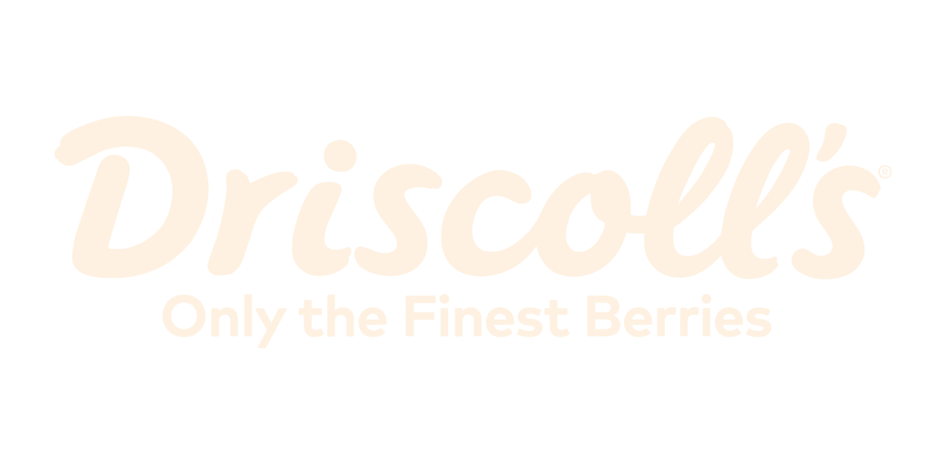 Driscolls