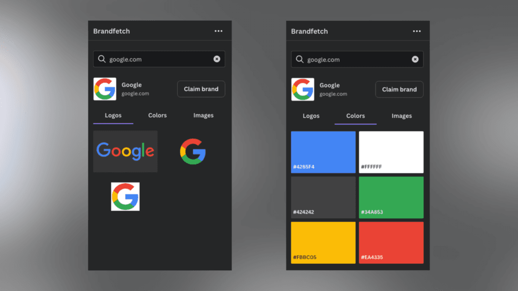 Showing a search of Google brand assets using the Brandfetch app window.