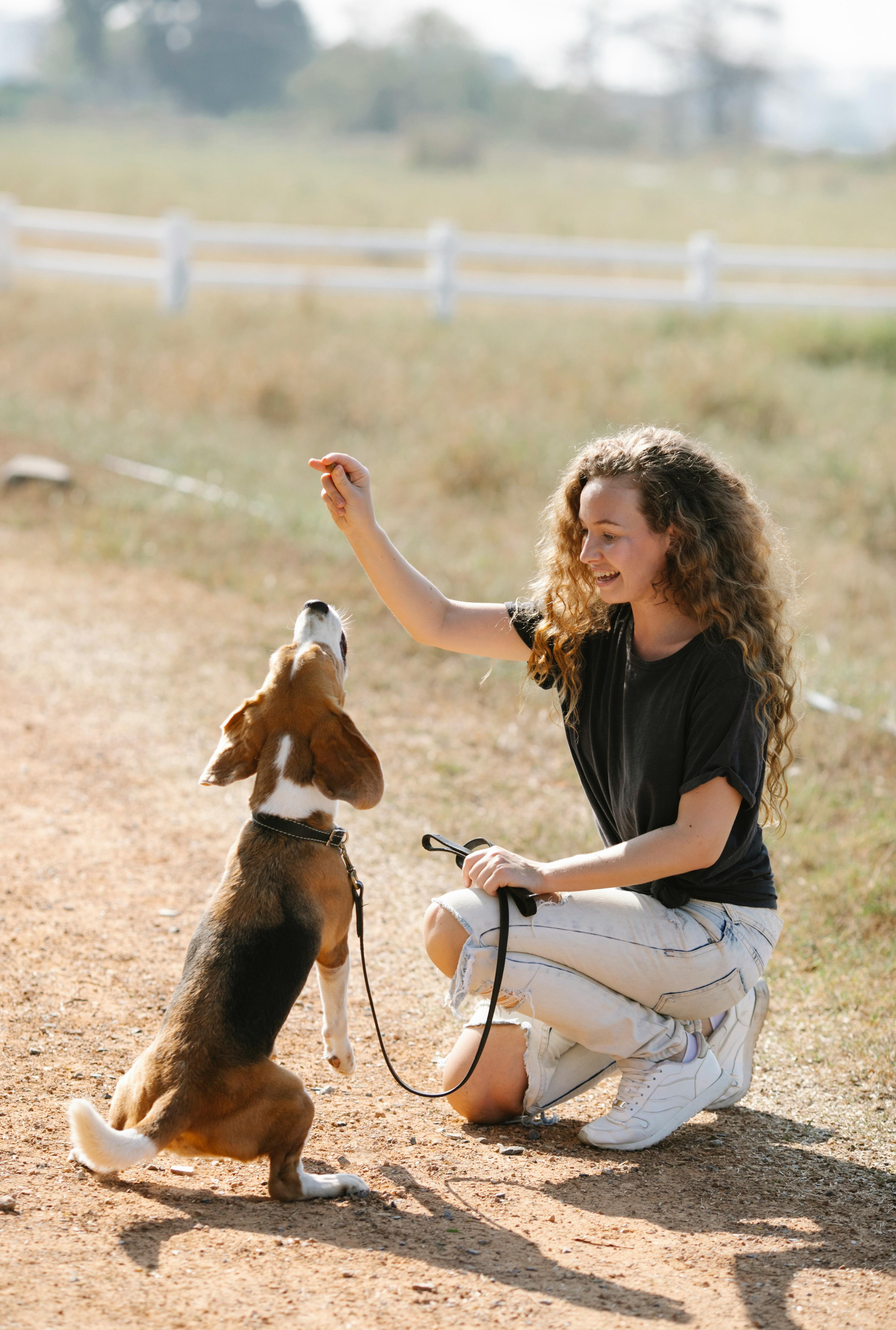 A woman kneels outdoors, training a dog with a treat, surrounded by an open field.