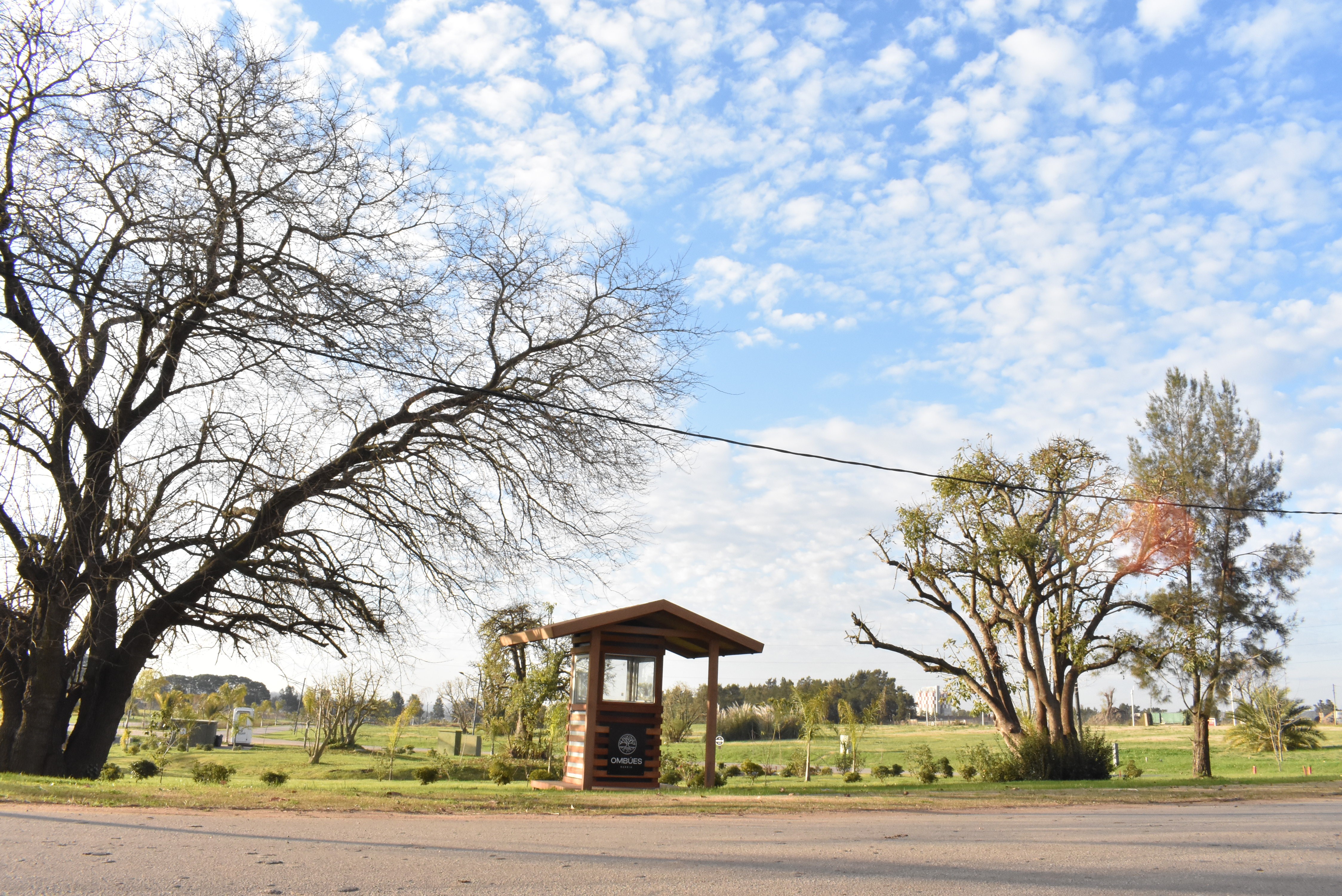 Coach explaining something to an athlete
