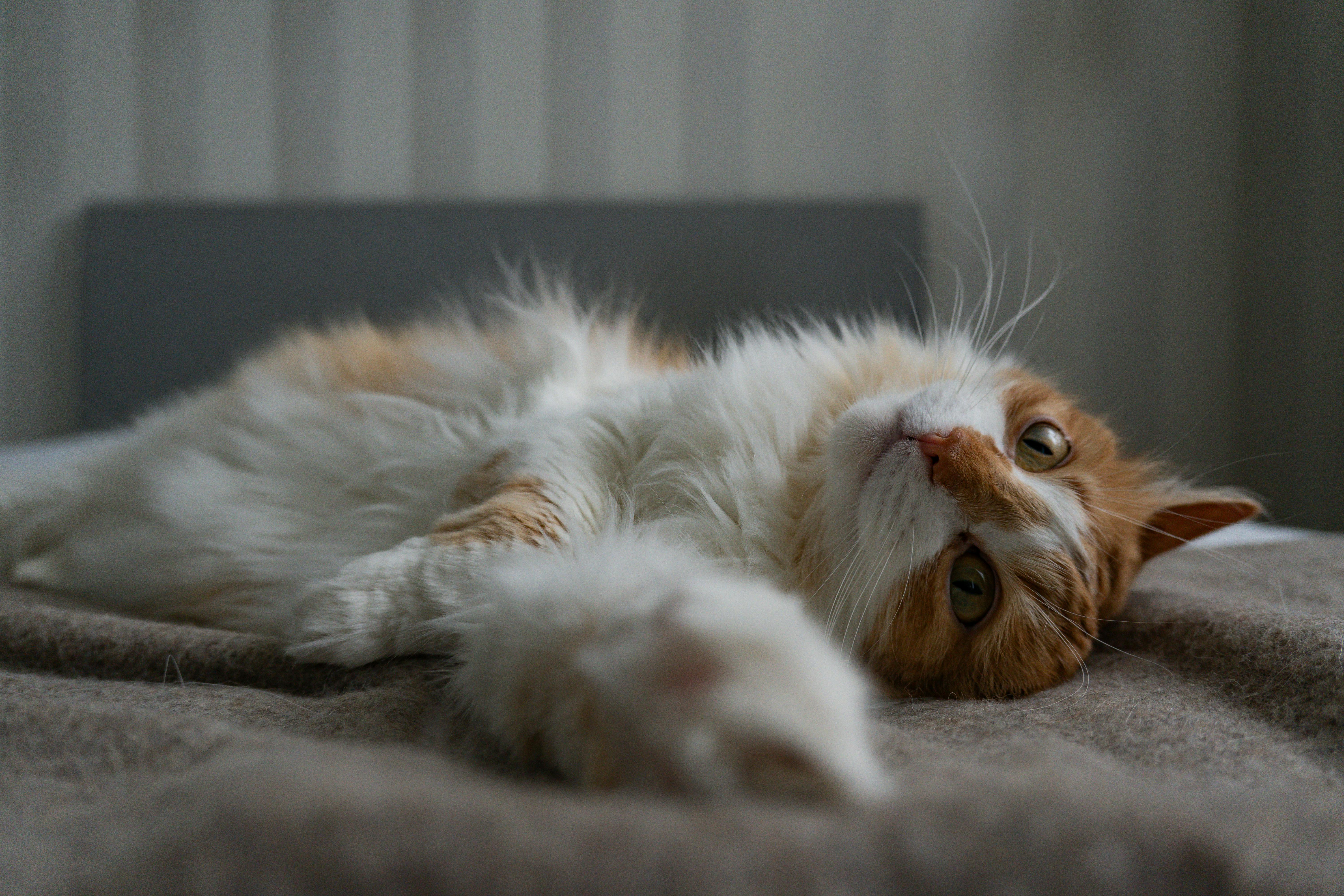 grayscale photo of man