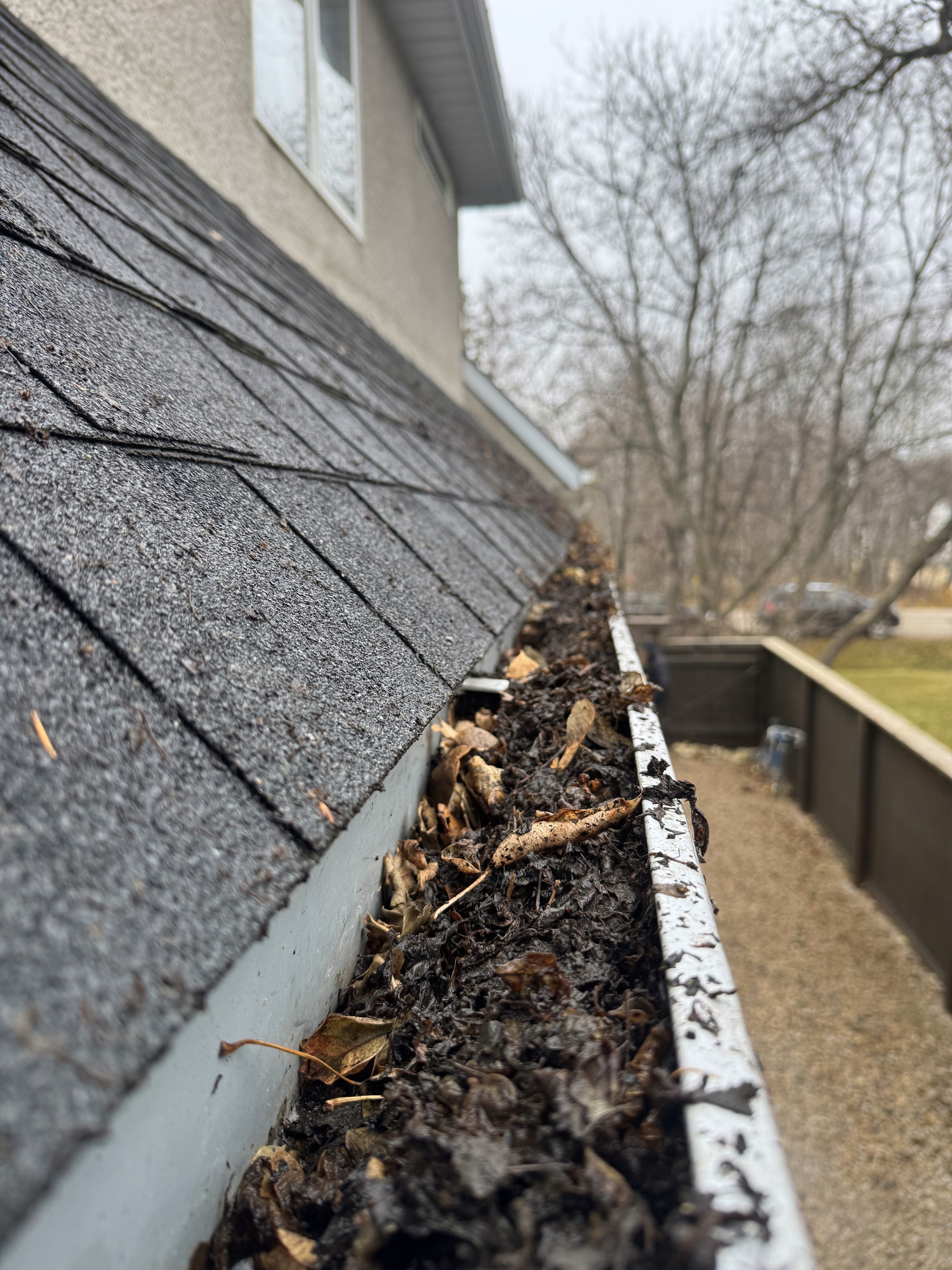 Gutter Cleaning in Charleswood. This gutter is full of leaves