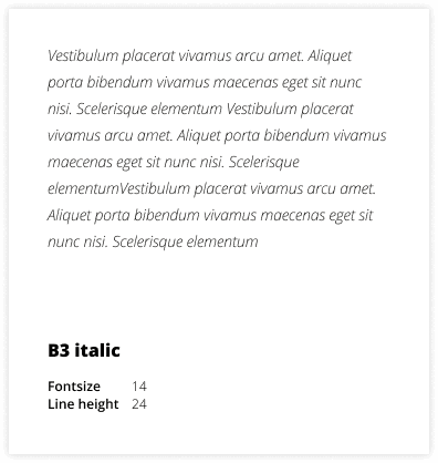 Styleguide Typografie H1