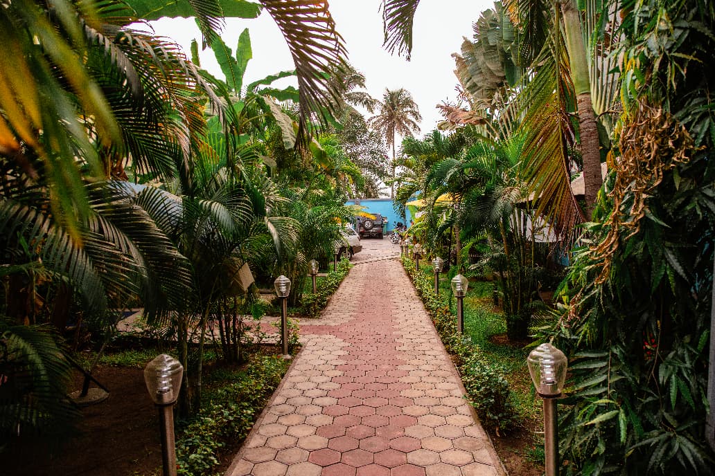 Location Image