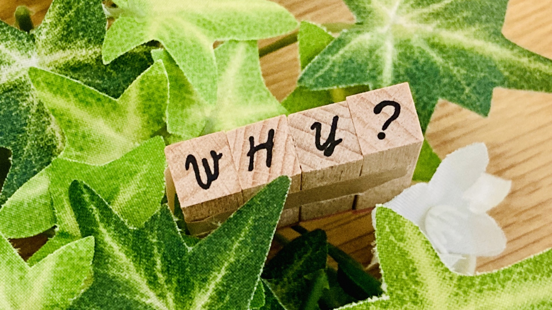 WHYの文字とフェイクグリーン