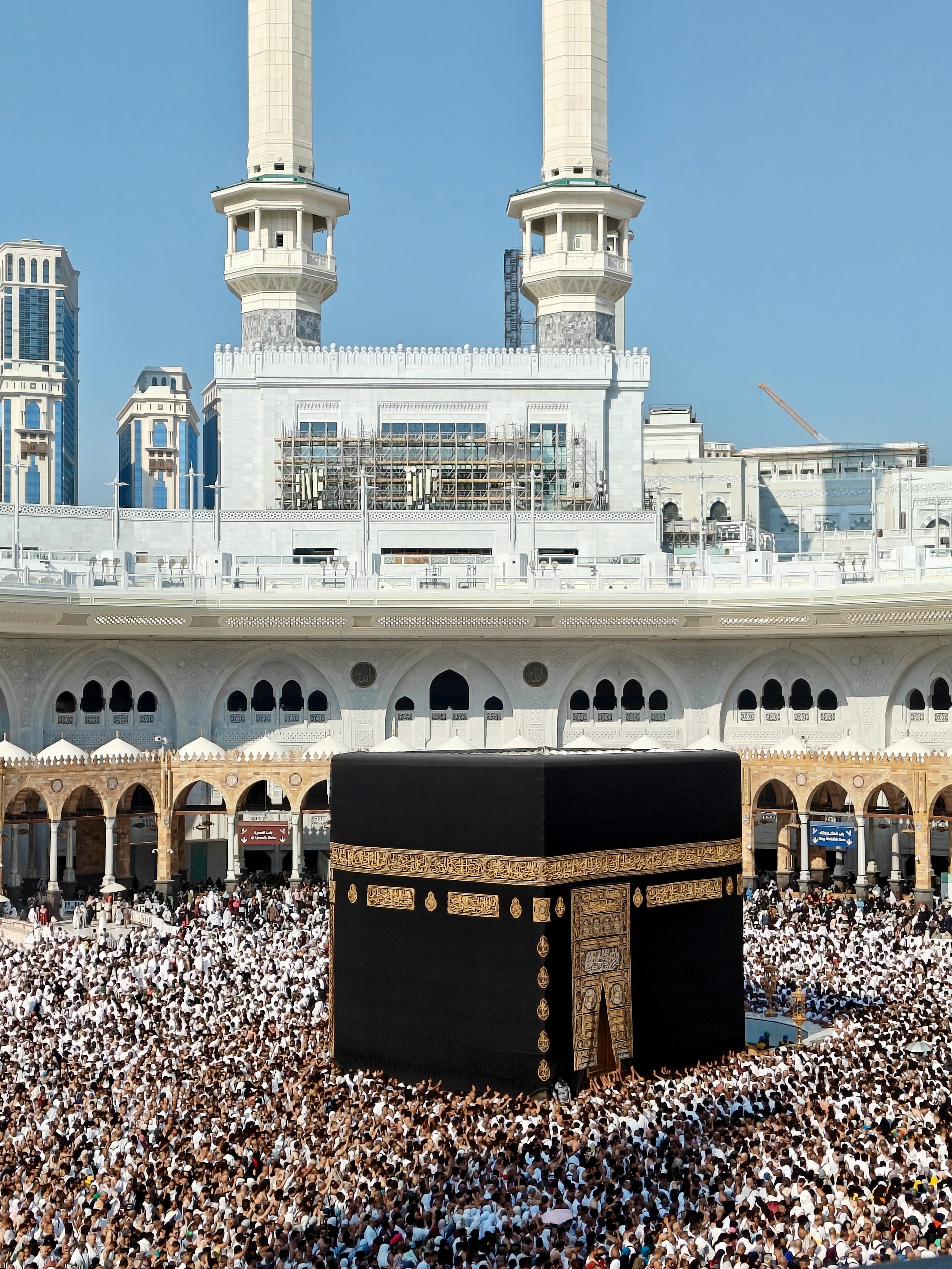 Choosing the right color palette