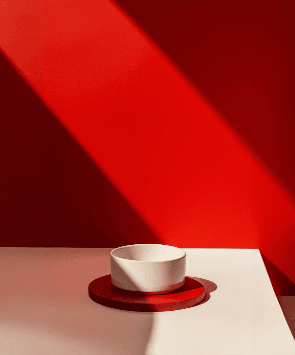 Minimalist Composition with Bowl and Shadow