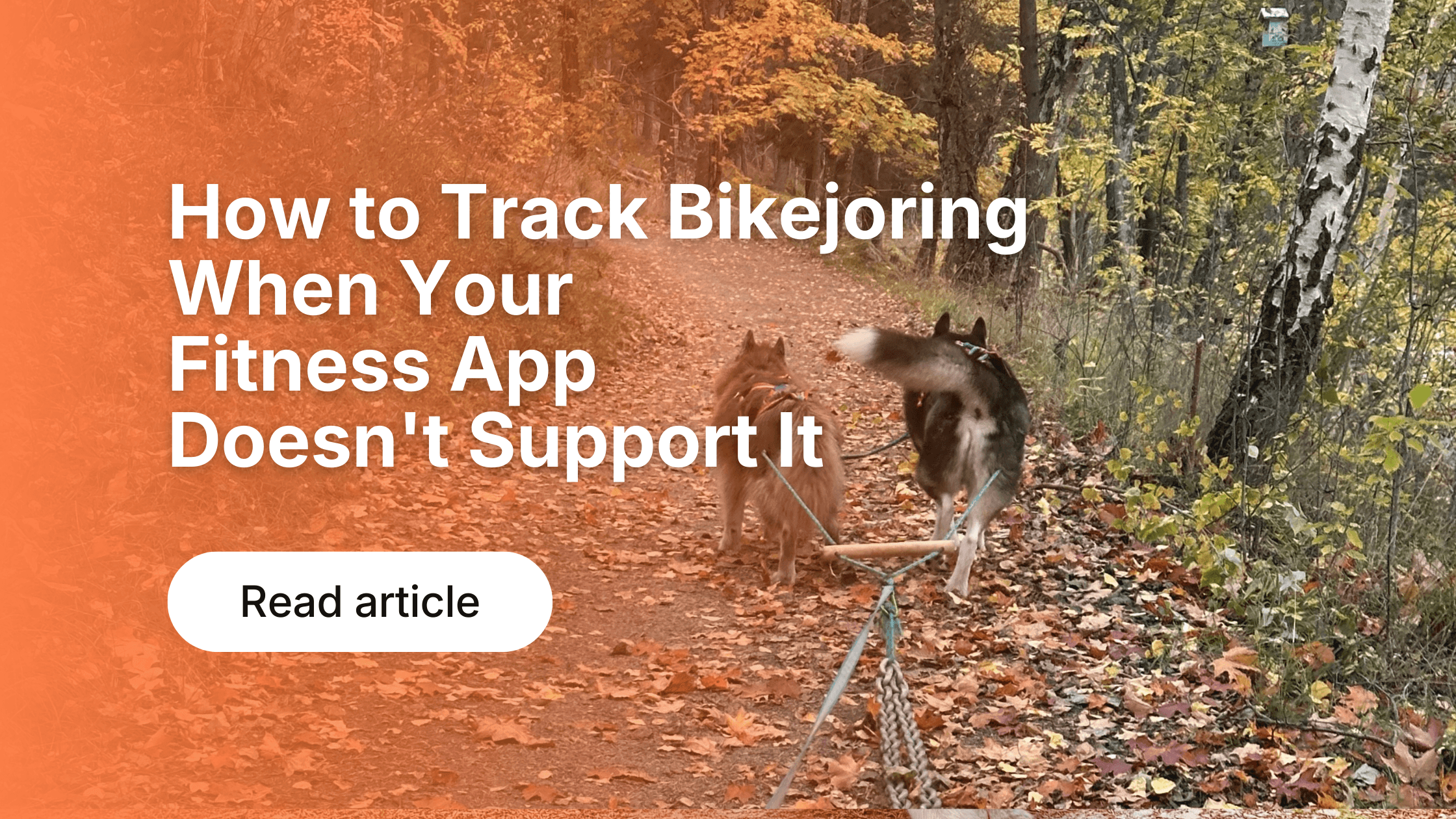 How to Track Bikejoring When Your Fitness App Doesn't Support It