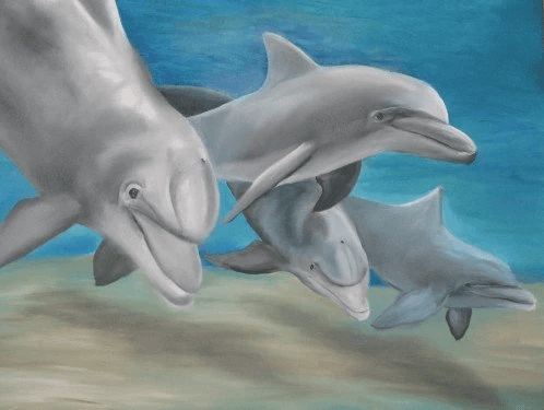 alt="painting of dolphins symbolizing forgiveness and emotional freedom"