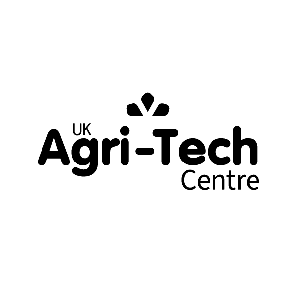 Collaboration between Lady Gaga and Dom Pérignon