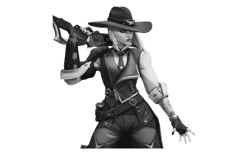 Private Overwatch product image
