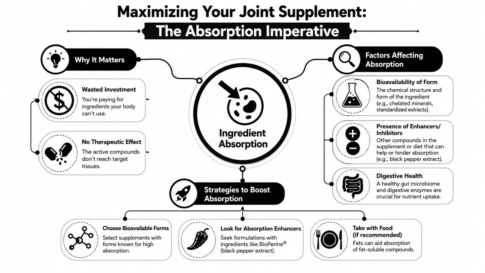 An infographic titled The Absorption Imperative explaining the importance, factors, and strategies for maximizing joint supplement absorption.