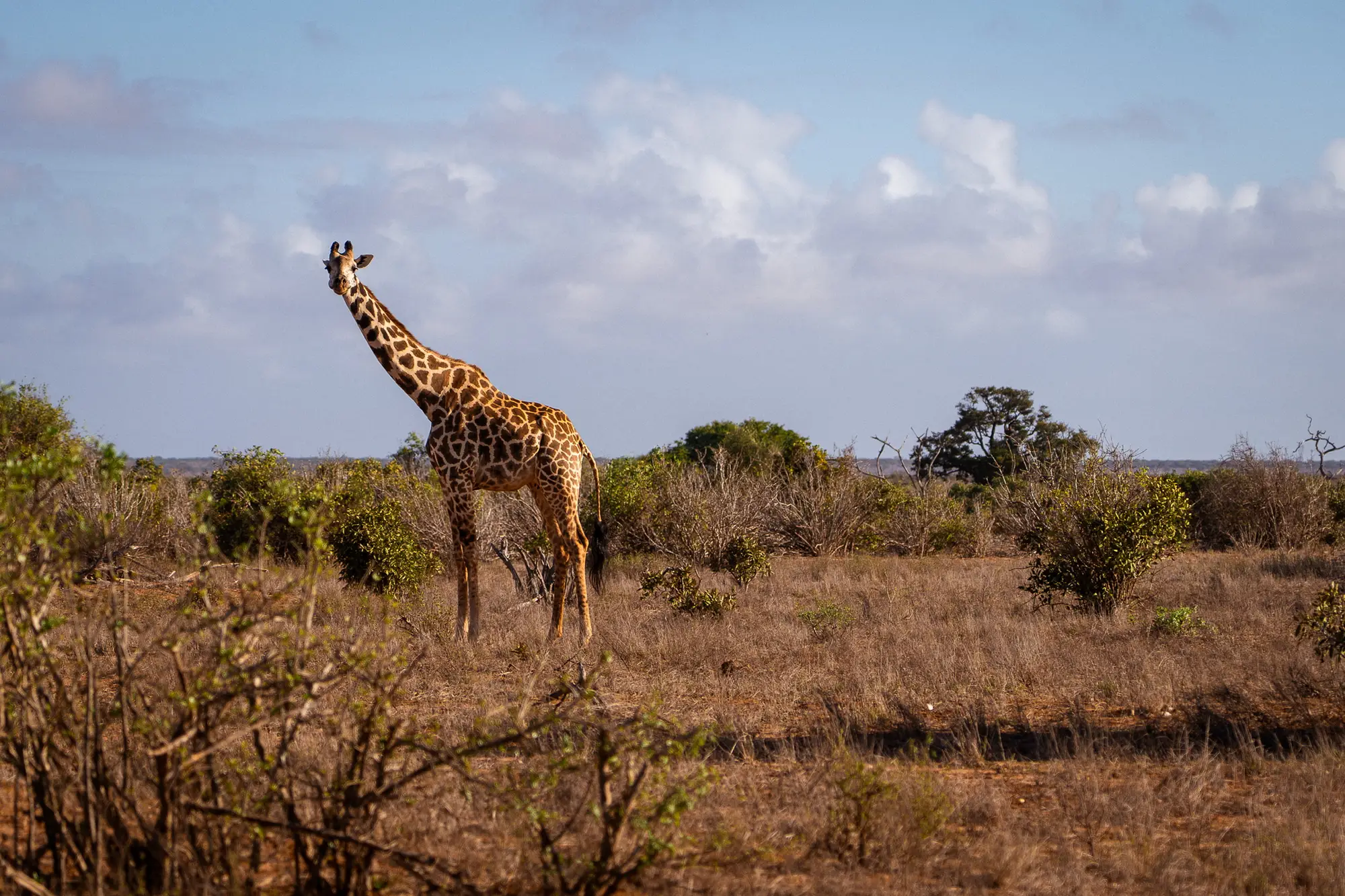 Usahili Tour in Kenya