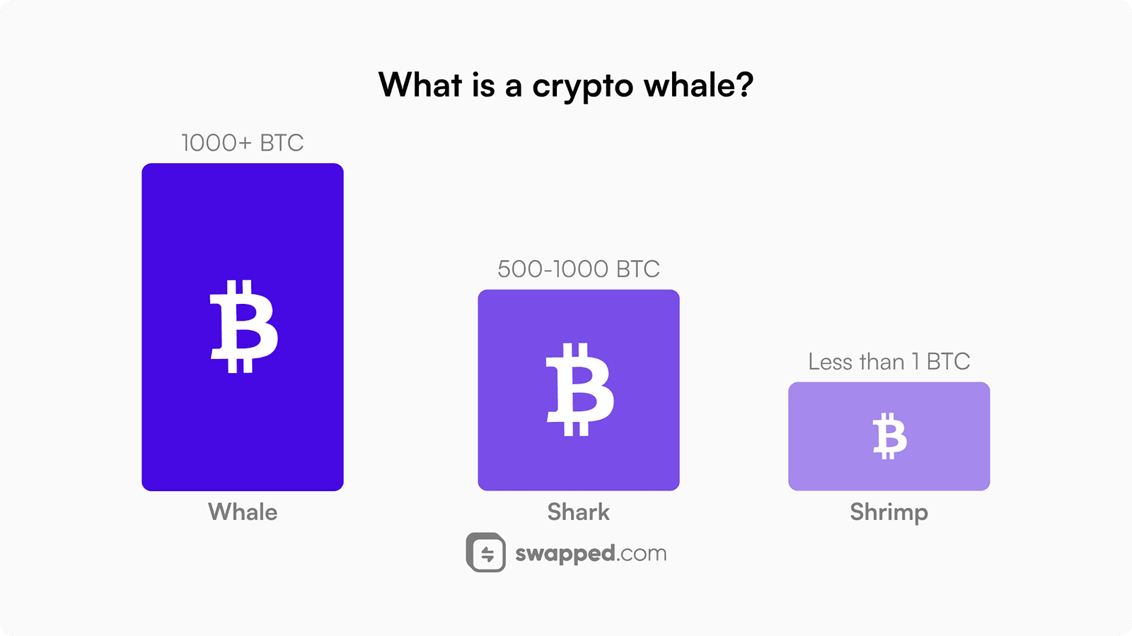 What is a crypto whale?