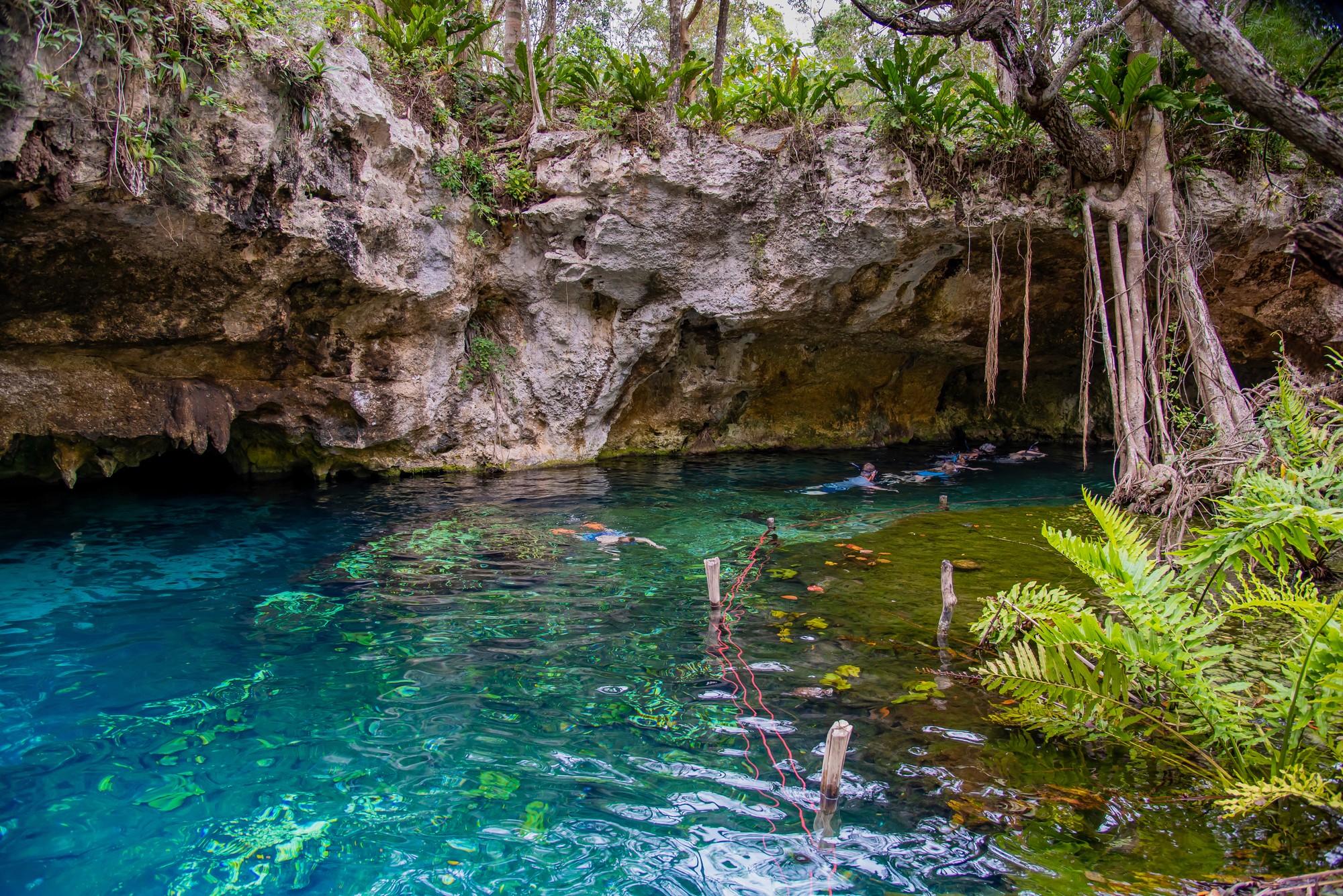 brown concrete building