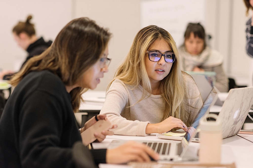 Light breaking through a dense canopy, symbolizing insight emerging from complexity.